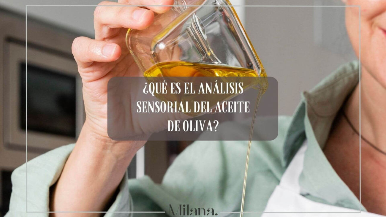 analisis-sensorial-del-aceite-de-oliva