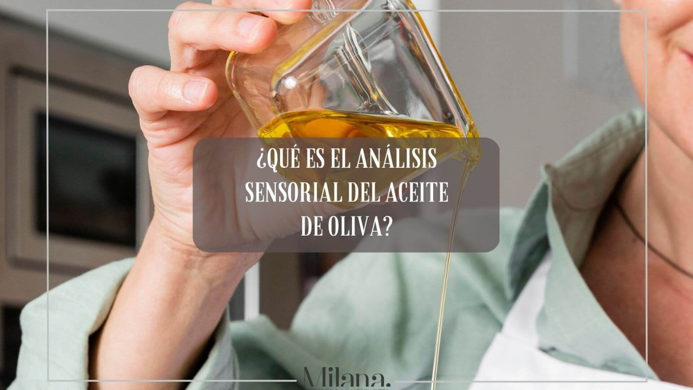 analisis-sensorial-del-aceite-de-oliva