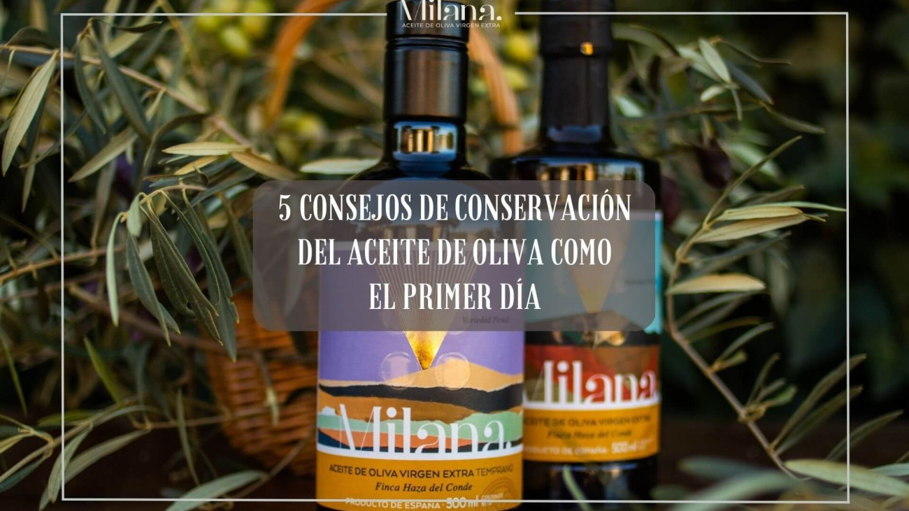 conservacion-del-aceite-de-oliva