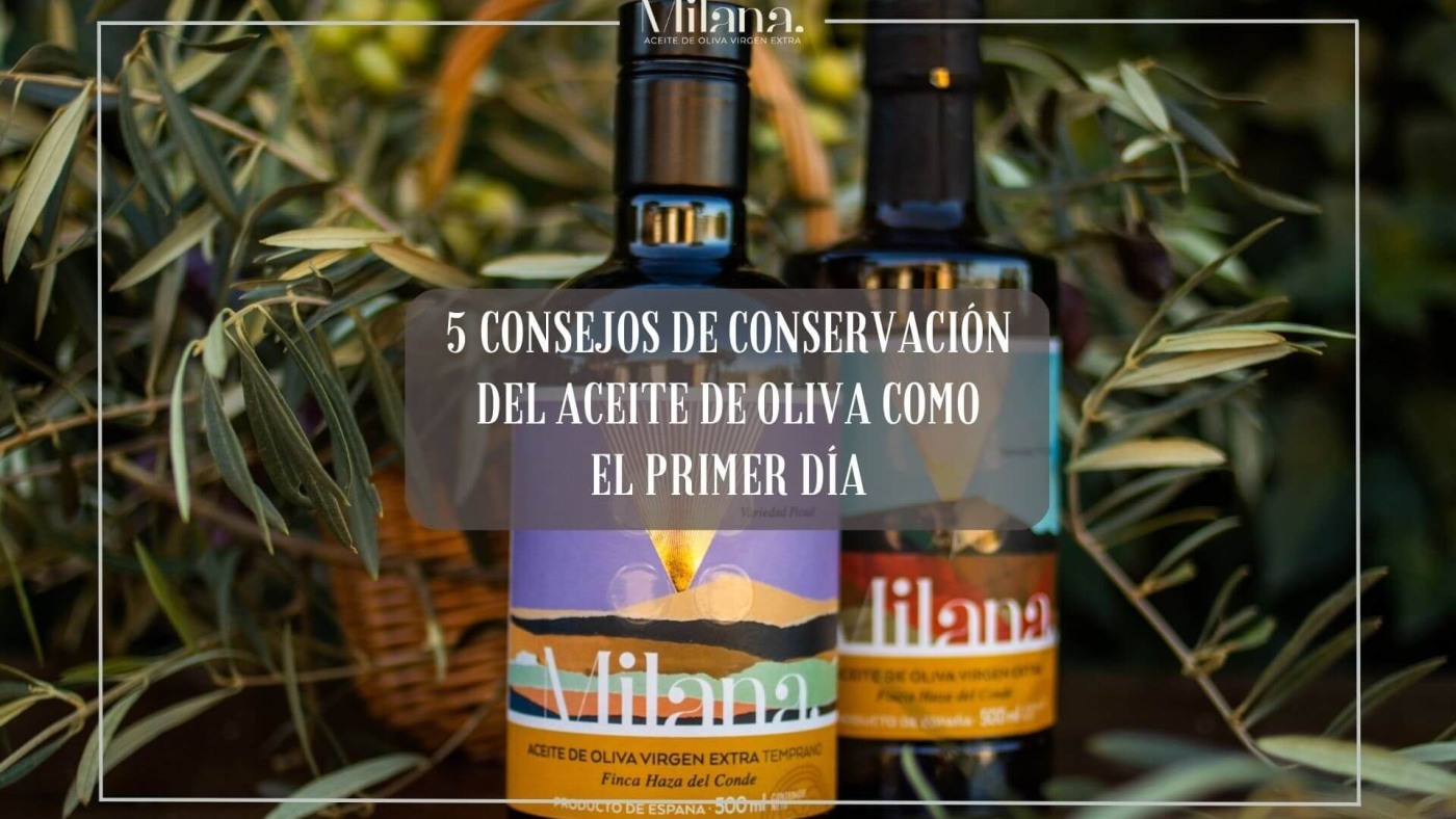 conservacion-del-aceite-de-oliva